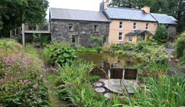 West Cork farmhouse with 7.2 acres, treehouse and wildlife sanctuary on the market for €525,000