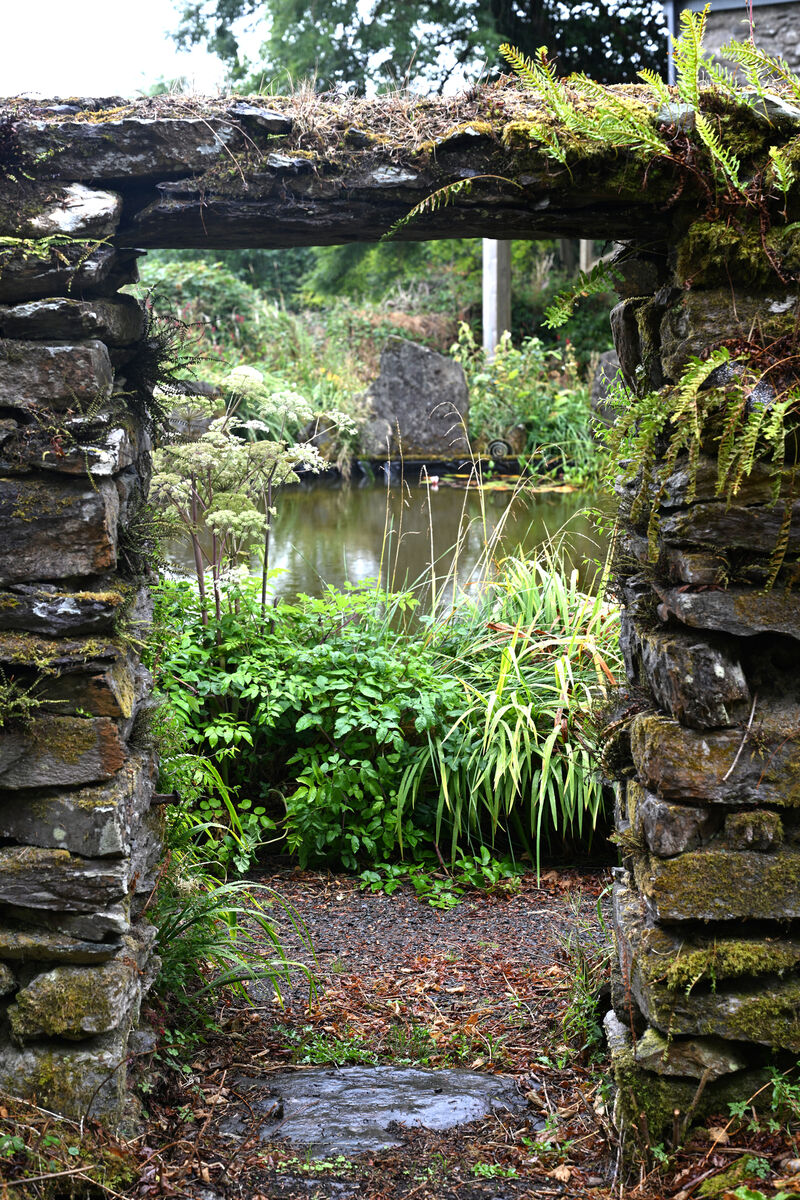 Pond view framed by a stone wall