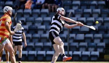 Premier SHC: David Cremin snatches late winner as Midleton edge Newcestown