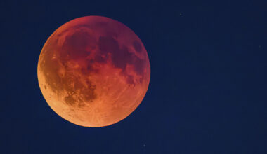 The moon is likely to glow a muted coppery red colour later this week. Picture: Patrick Pleul/dpa via AP
