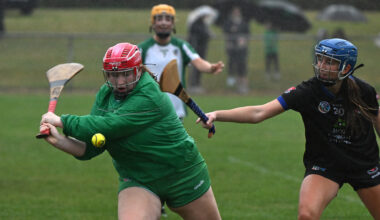 Cork Camogie: Anna Foley goal and Lisa O'Riordan penalty save key as Aghabullogue stun Sars