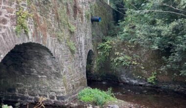 Water flowing from the East Cliff Rd storm drain into the Butlerstown river in Glanmire. Picture: Donal O'Keeffe