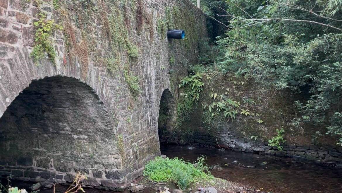 Water flowing from the East Cliff Rd storm drain into the Butlerstown river in Glanmire. Picture: Donal O'Keeffe