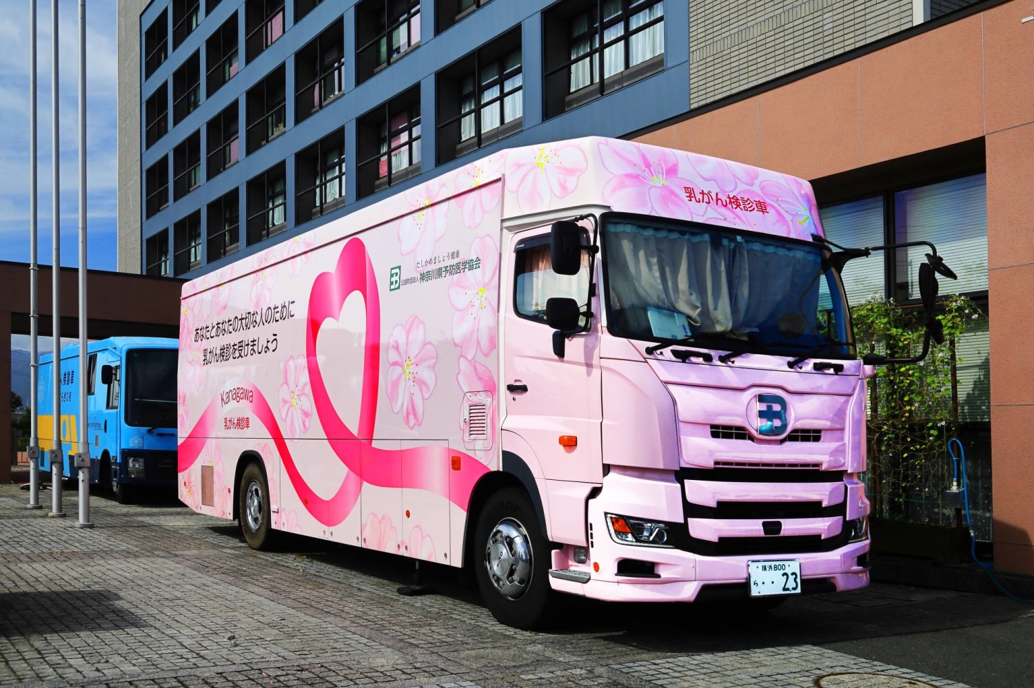 Japan’s breast cancer screening rules take a big, belated step forward