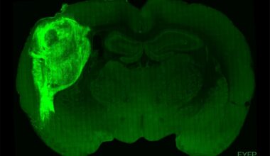 Machine learning powered protein engineering lab could accelerate biotech innovation