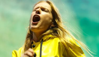 Audrey Hobert’s Electric Picnic set shows she doesn’t need her famous friends to make an impact – The Irish Times