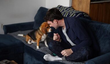 Gene-edited beagles may offer a future option for people with dog allergies | News
