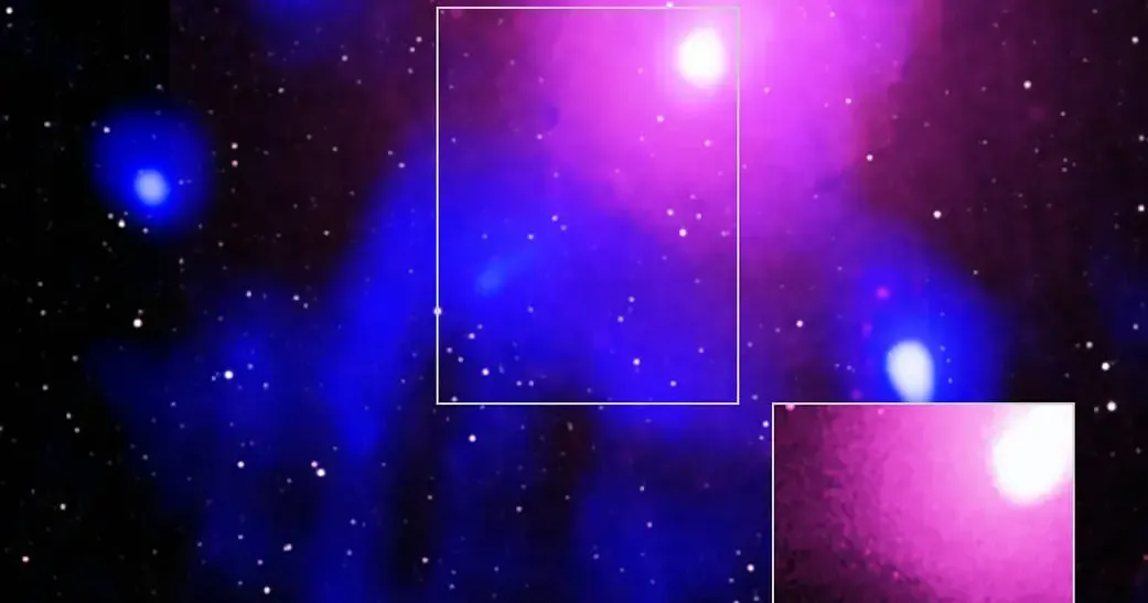 Starry Starry Night: The Serpent Bearer and The Swan | Lifestyle