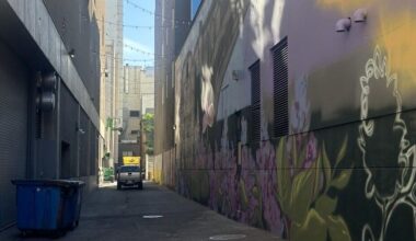 Large-scale mural transforms downtown Spokane alley into public art | Entertainment