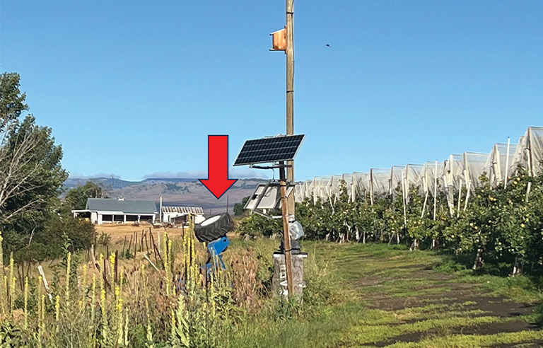 FACE Report: Orchard laborer falls from boom lift