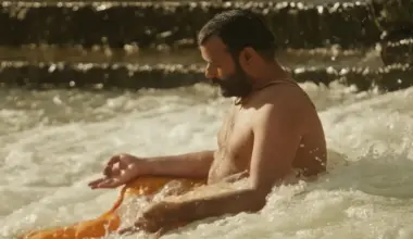 Hanuman Ansh Box Office Collections: Records HUGE 228 per cent growth on 4th Friday, nears Rs 20 crore mark