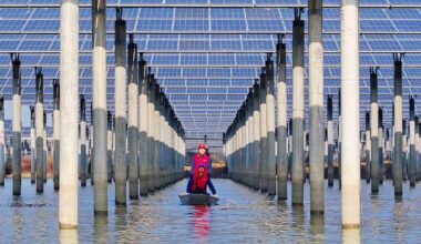 China’s clean-energy gamble is paying off – The Irish Times