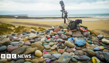 Harry Potter fans force diversion of UK-Ireland power link to avoid 'Dobby's grave' - bbc.com