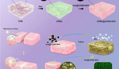 Kyushu University develops colour-changing film to detect meat spoilage
