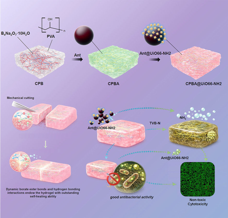 Kyushu University develops colour-changing film to detect meat spoilage