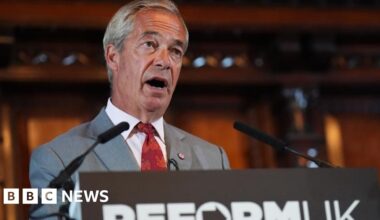 Nigel Farage says incident at his home 'directly linked' to Ann Widdecombe murder - bbc.com