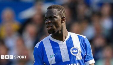 Yankuba Minteh pictured during a Brighton match