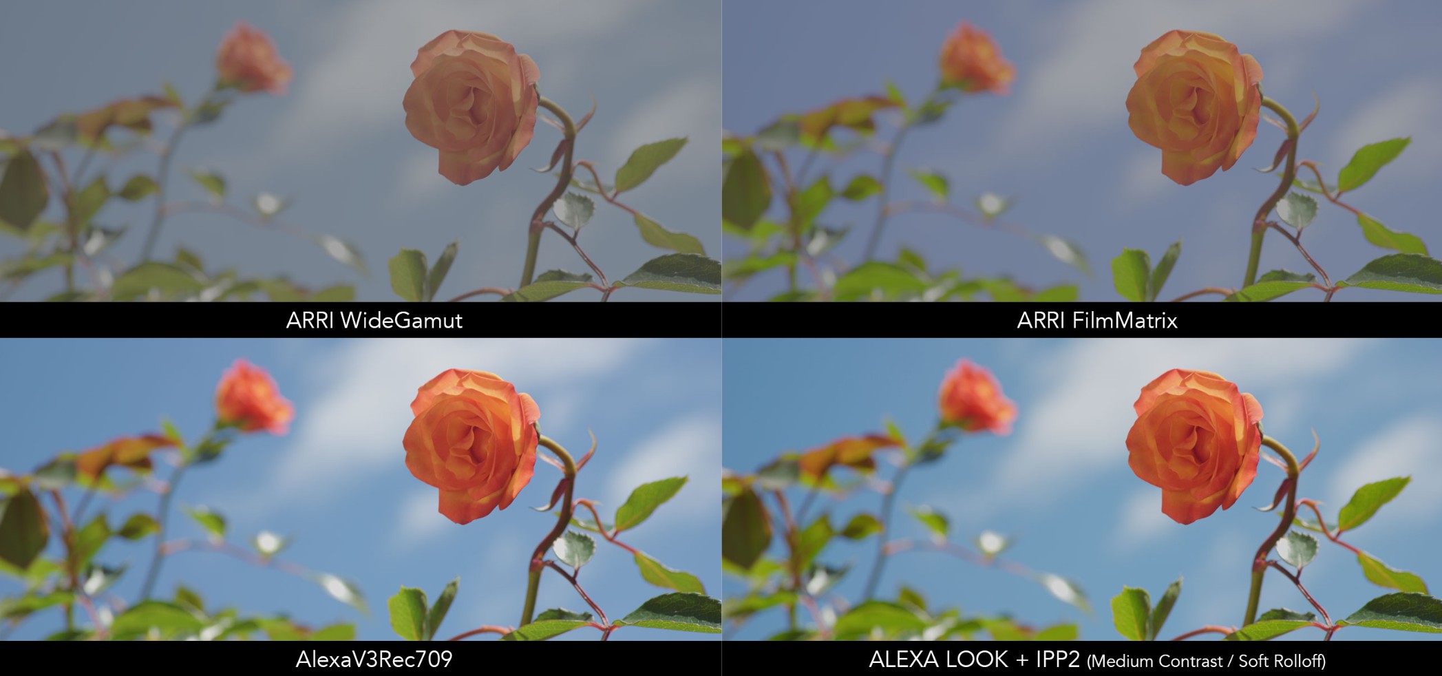 ARRI LUT (Look-Up Table) support