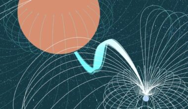 This iullustration shows a white dwarf star accreting material from its companion. New research says that this can explain at least one of the puzzling Long Period Radio Transients, mysterious radio signals that repeat with periods ranging from a few minutes to a few hours. Image Credit: Carl Knox (OzGrav, Swinburne University of Technology) and Joshua Preston Pritchard (CSIRO).