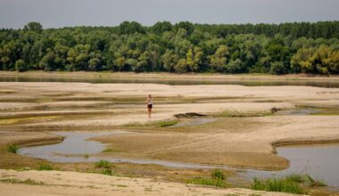 The great drought devours the heart of Europe: Record-low harvests, historic restrictions and a stalled economy | Climate