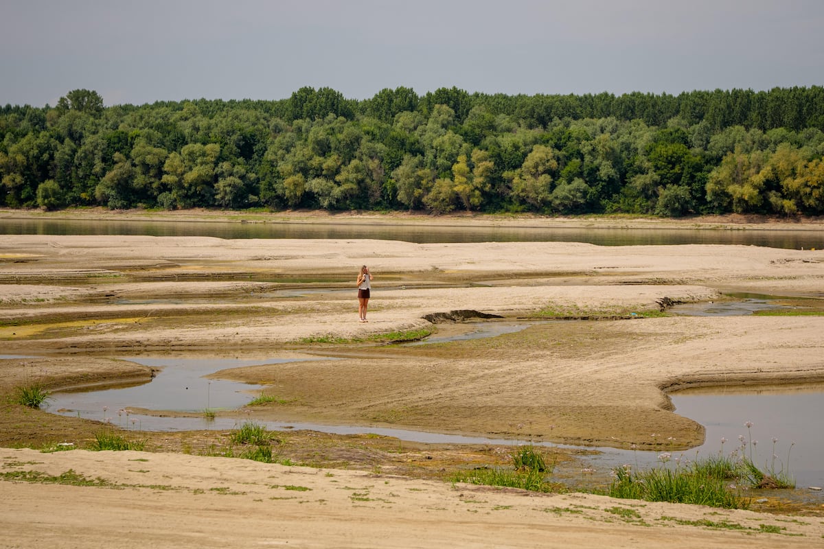 The great drought devours the heart of Europe: Record-low harvests, historic restrictions and a stalled economy | Climate