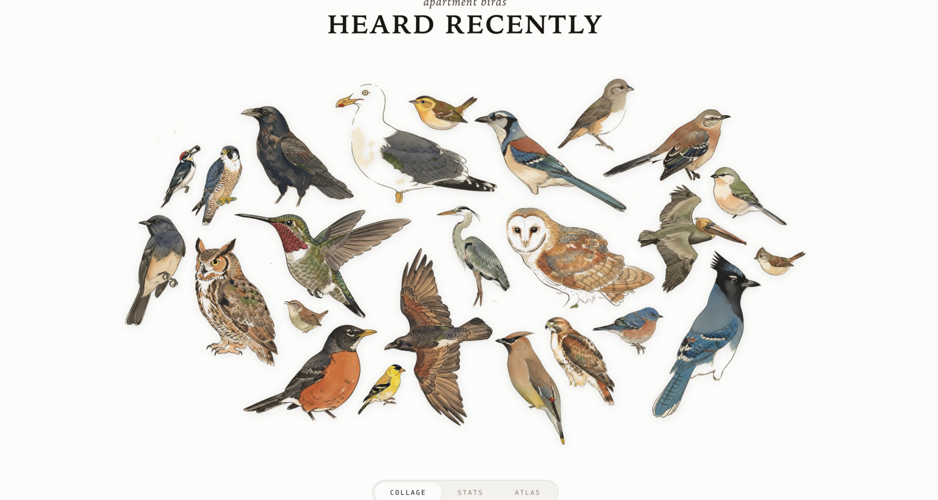 Track Bird Visitors With A Raspberry Pi And A USB Mic
