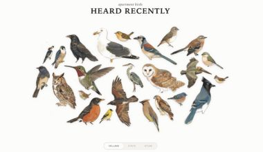 Track Bird Visitors With A Raspberry Pi And A USB Mic