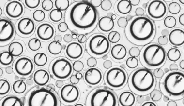 Chemistry in Pictures: Droplet with a steering wheel