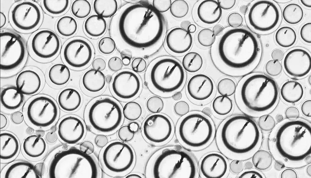 Chemistry in Pictures: Droplet with a steering wheel