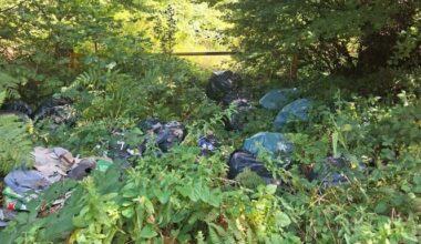 Outrage Over Large Scale Illegal Dumping At Mooghaun Forest