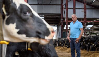 How Ireland’s land is used and why it has to change – The Irish Times