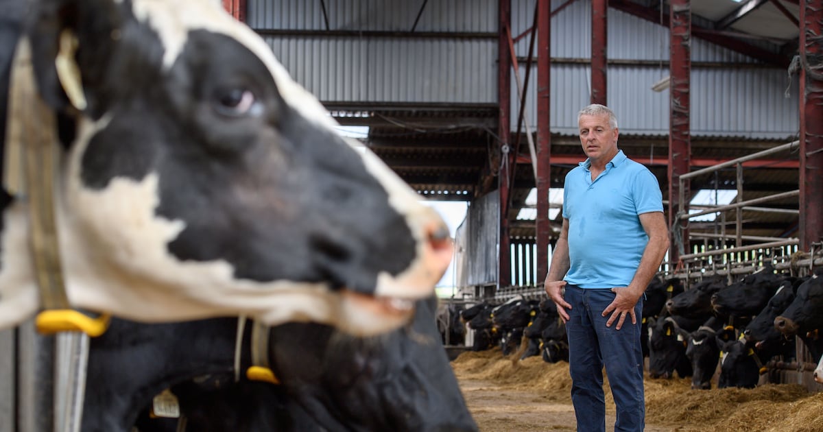 How Ireland’s land is used and why it has to change – The Irish Times