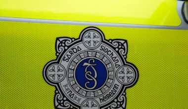 Man (40s) arrested after double armed robbery in Bray – The Irish Times
