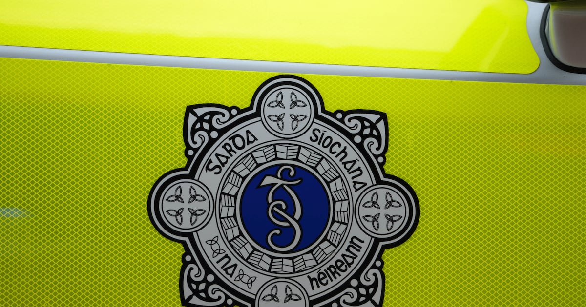Man (40s) arrested after double armed robbery in Bray – The Irish Times