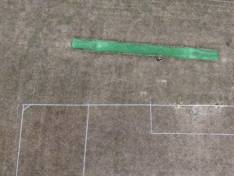 Walkers on a dried-out grass pitch at St Anne's Park, Dublin. Photograph: Alan Betson