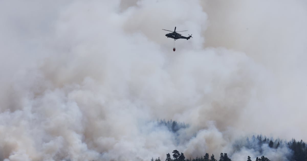 400,000 years of practice does not mean that Ireland has learned how to manage fire – The Irish Times