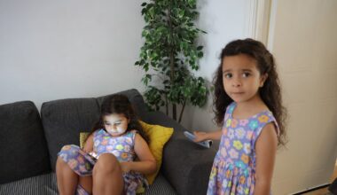 ‘I don’t have words to describe this stress’: No school places for twin sisters with autism – The Irish Times