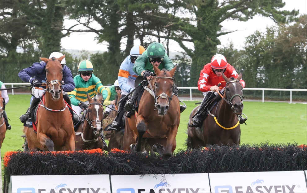 Horse Racing Tips: Timeform’s Saturday picks at Galway – Paddy Power News