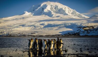 Scientists warn that something unusual is happening in the Southern Ocean