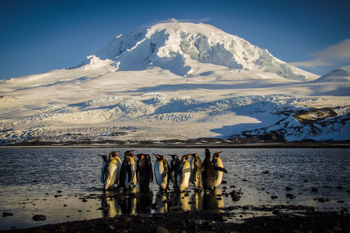 Scientists warn that something unusual is happening in the Southern Ocean