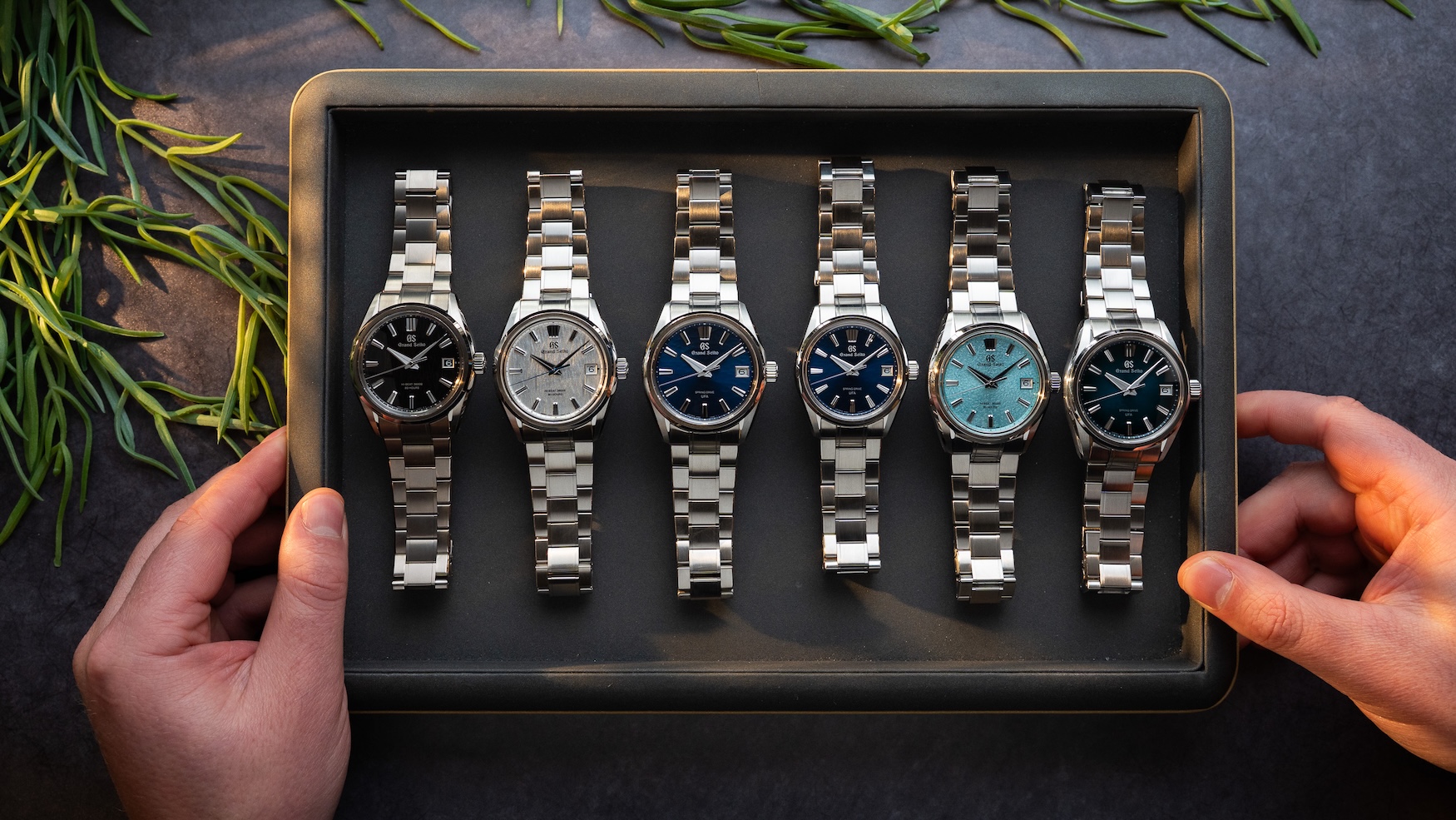 Grand Seiko Evolution 9 2026 Core Lineup Refresh 50