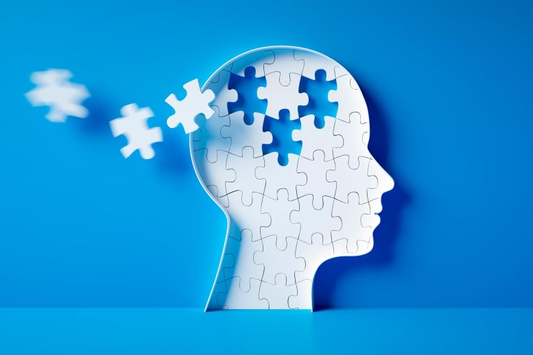 Head Brain Diseases Puzzle Pieces Autism Mental Health