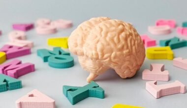 Human Brain Model Colorful Alphabet Letters Close