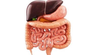 Study maps rising lifetime risk of digestive cancers in China