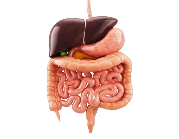 Study maps rising lifetime risk of digestive cancers in China