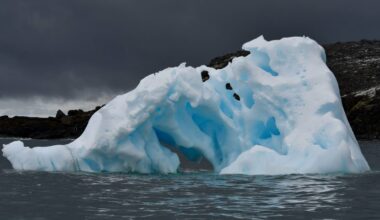 Iceberg Melts on the Southern Ocean