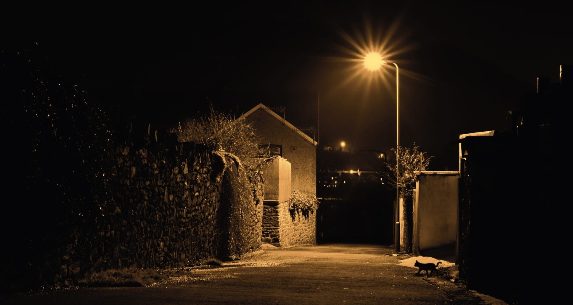 Nighttime light linked to conflicting signs of biological aging