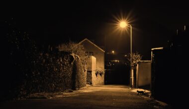 Nighttime light linked to conflicting signs of biological aging