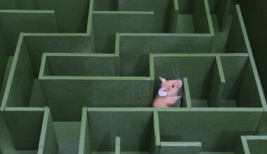 Early-life stress rewires brain epigenetics to heighten sensitivity to future stress