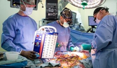 Molecular mapping reveals hidden cellular programs in heart transplant rejection